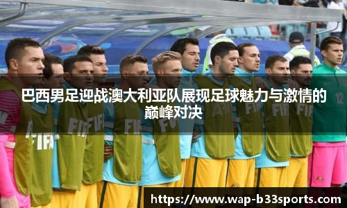 b33体育官网