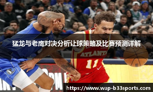 b33体育平台