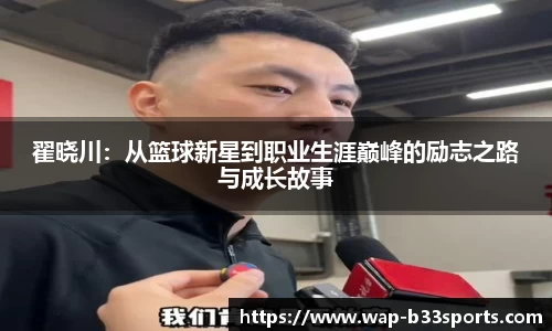 b33体育官网