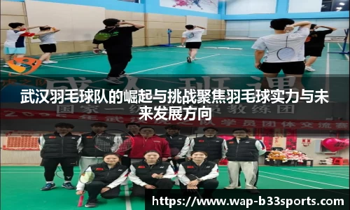 b33体育官网